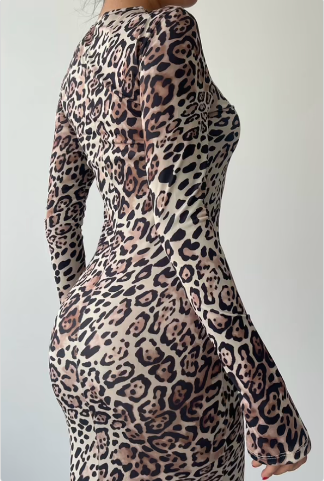 Leopard Pattern Maxi Dress