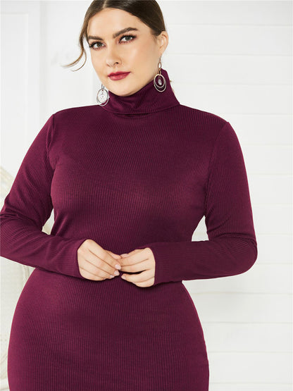 Back to Basics Curvy Solid Color Knit Turtleneck Long Sleeve Dress